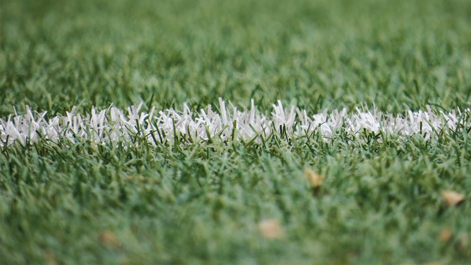 Close-up of a white painted line on green sports turf grass