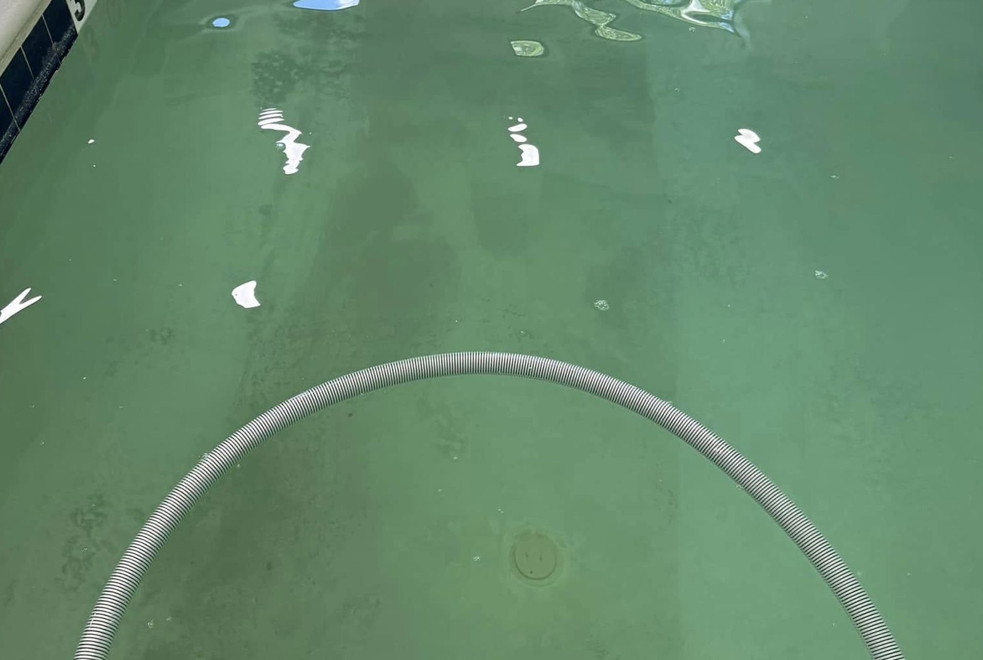 Green water viewed over a curved metal railing at the bottom edge