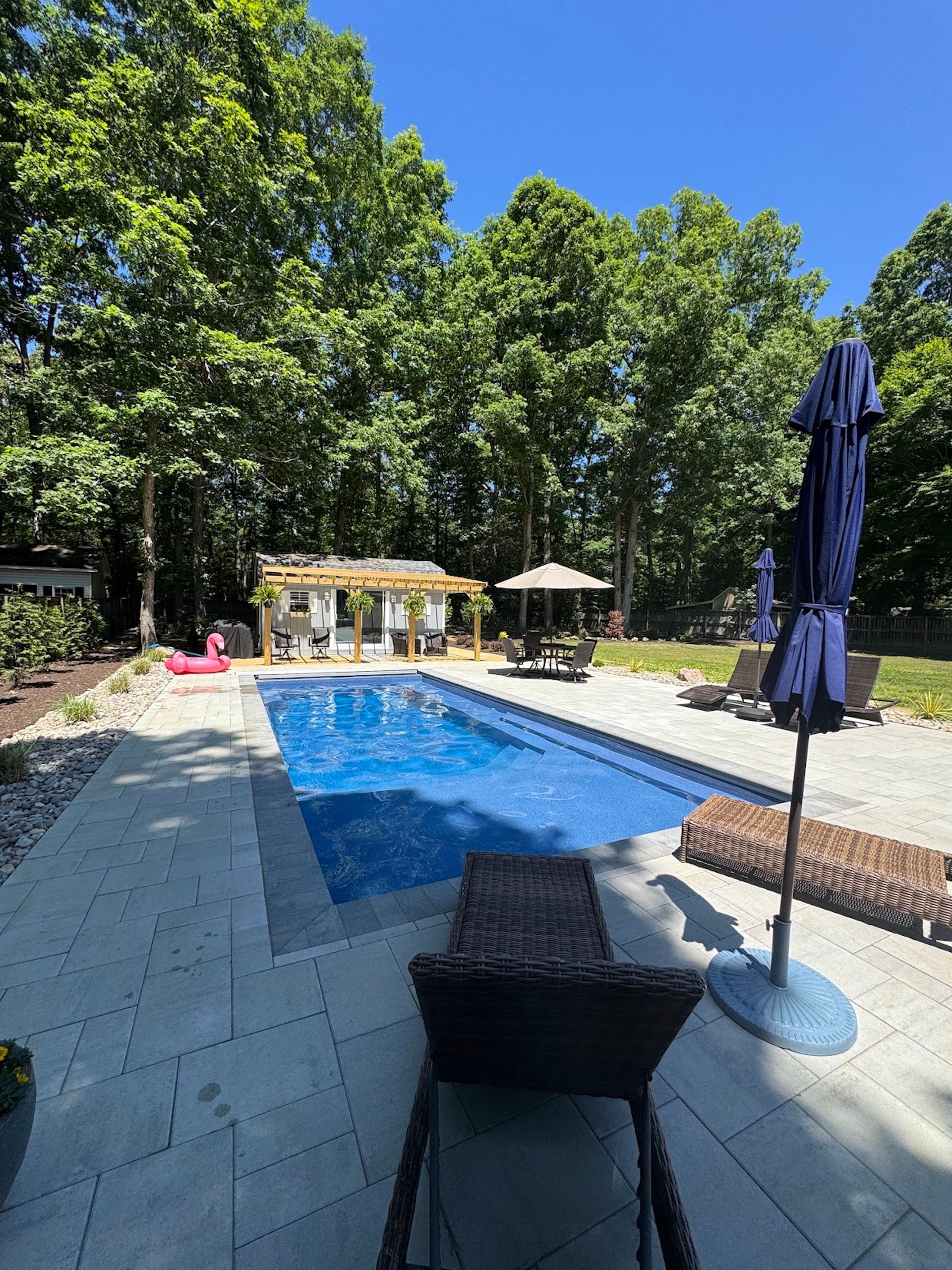 Backyard pool with blue water, patio chairs, umbrellas, and tall trees on a sunny day