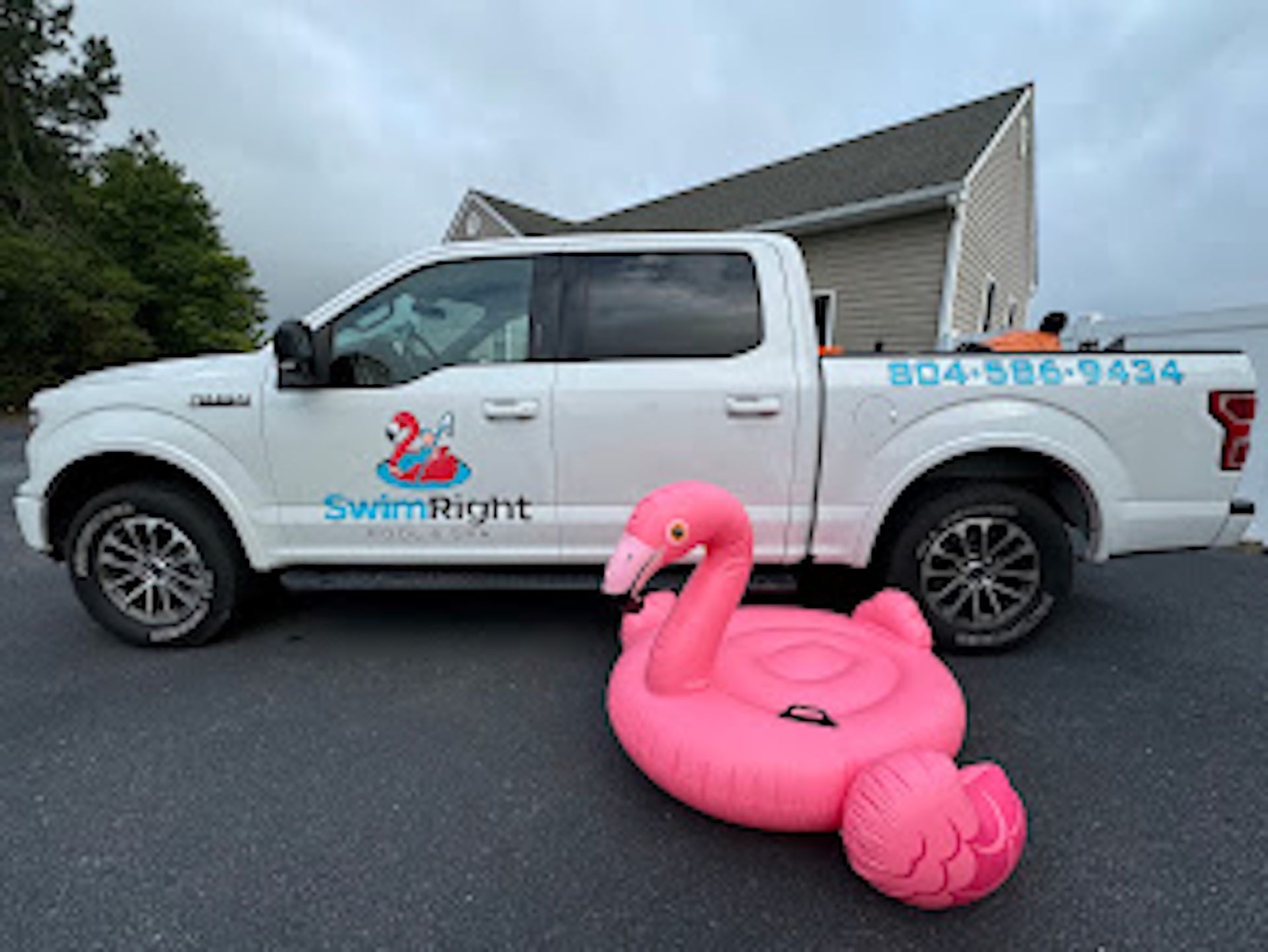 White SwimRight pickup truck with phone number parked beside a pink flamingo pool float in a driveway