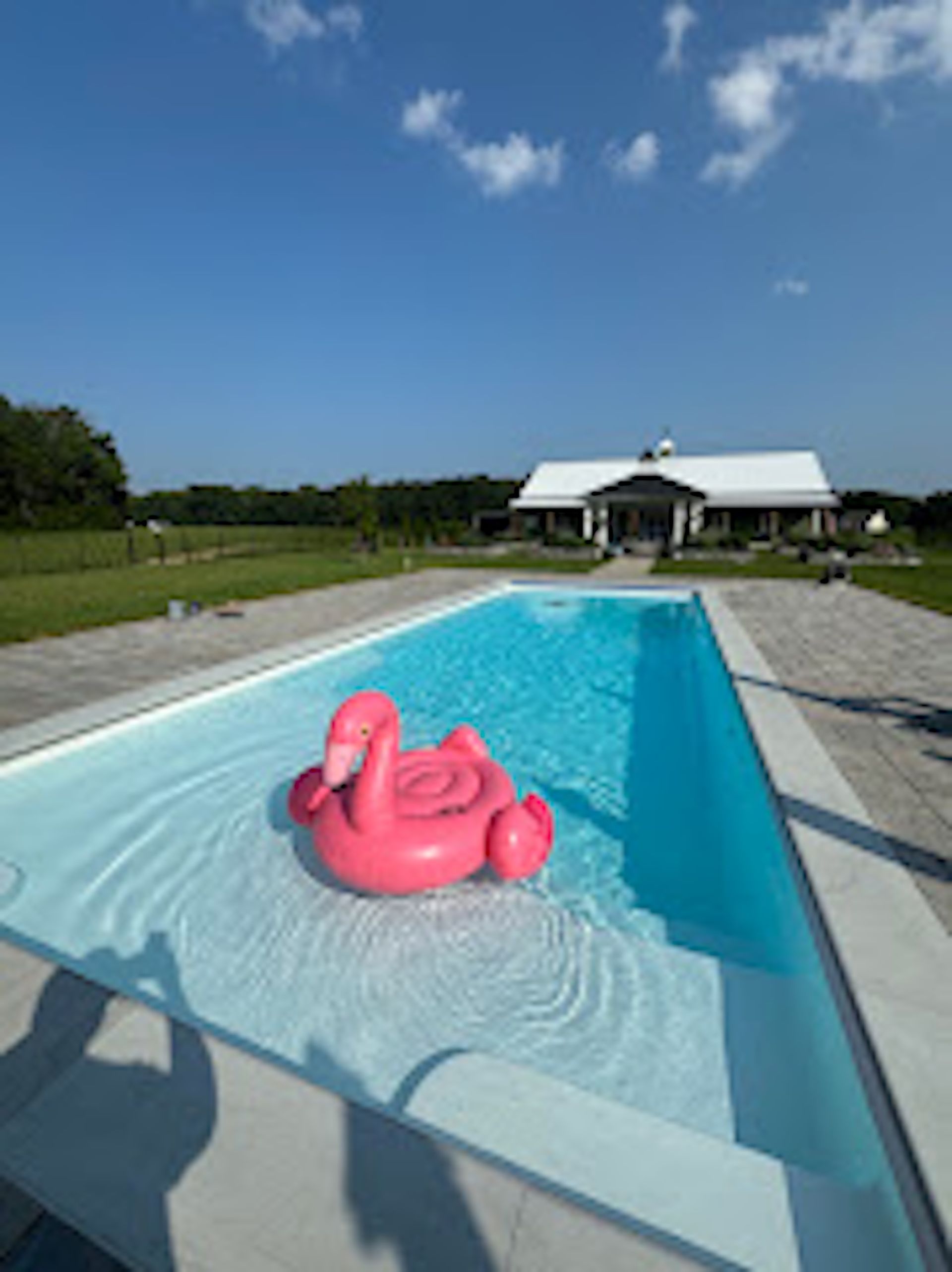 Pink flamingo float in a backyard pool with a white house and blue sky in the background