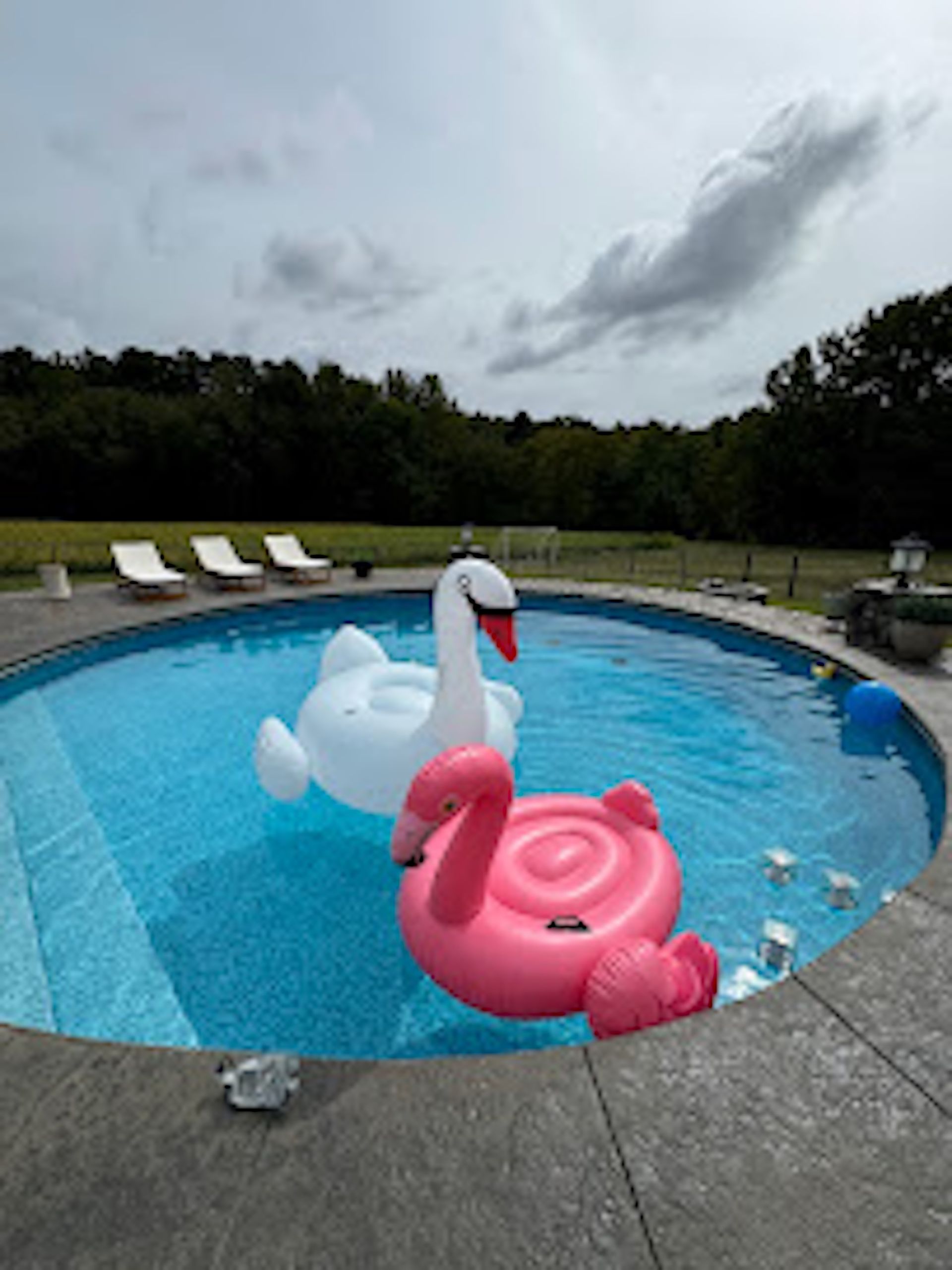 Pink and white swan floats in a pool with lounge chairs and cloudy sky in the background