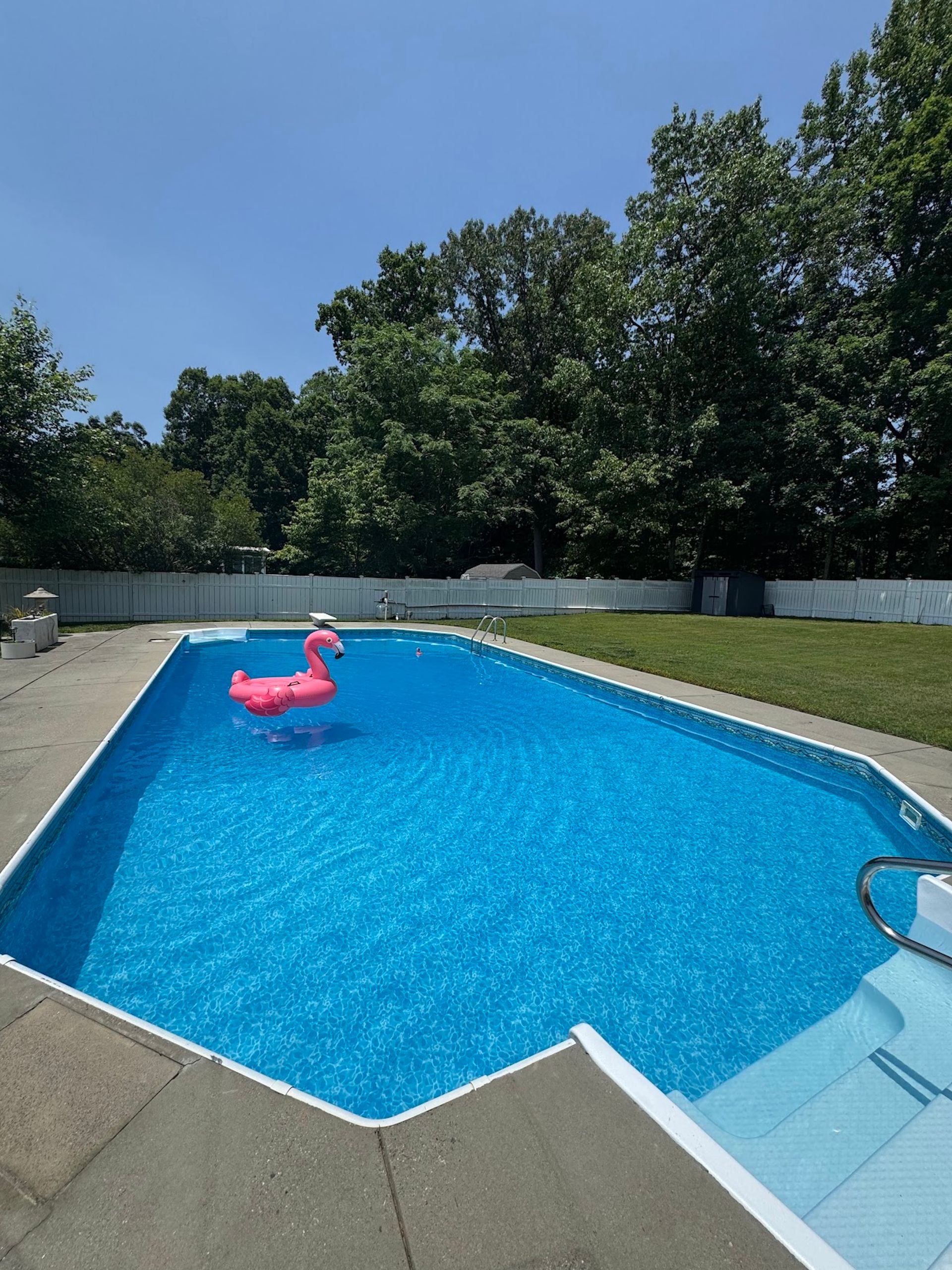 Backyard swimming pool with blue water and a pink flamingo float under trees