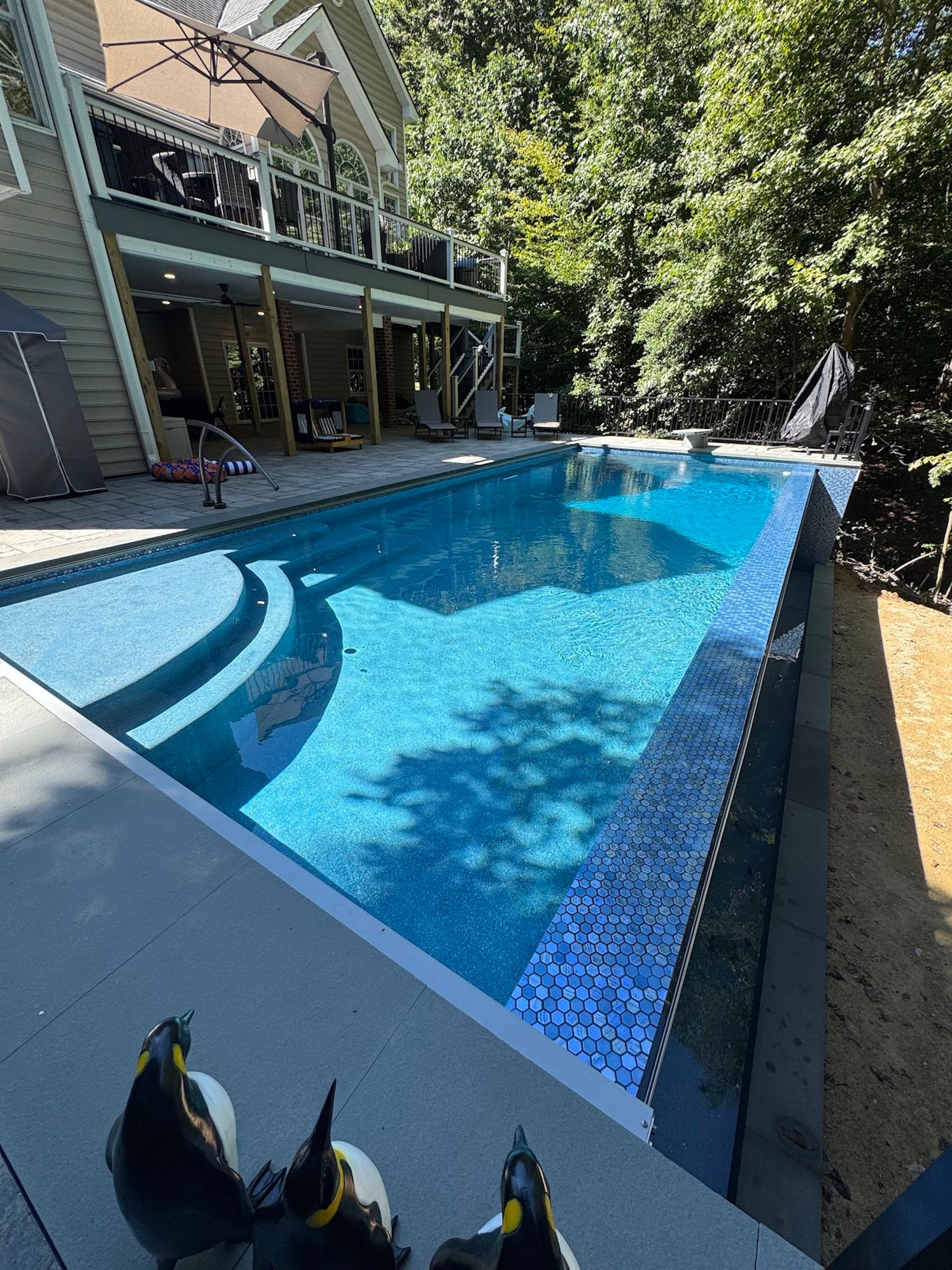 Backyard swimming pool beside a house, with three penguin statues in the foreground.