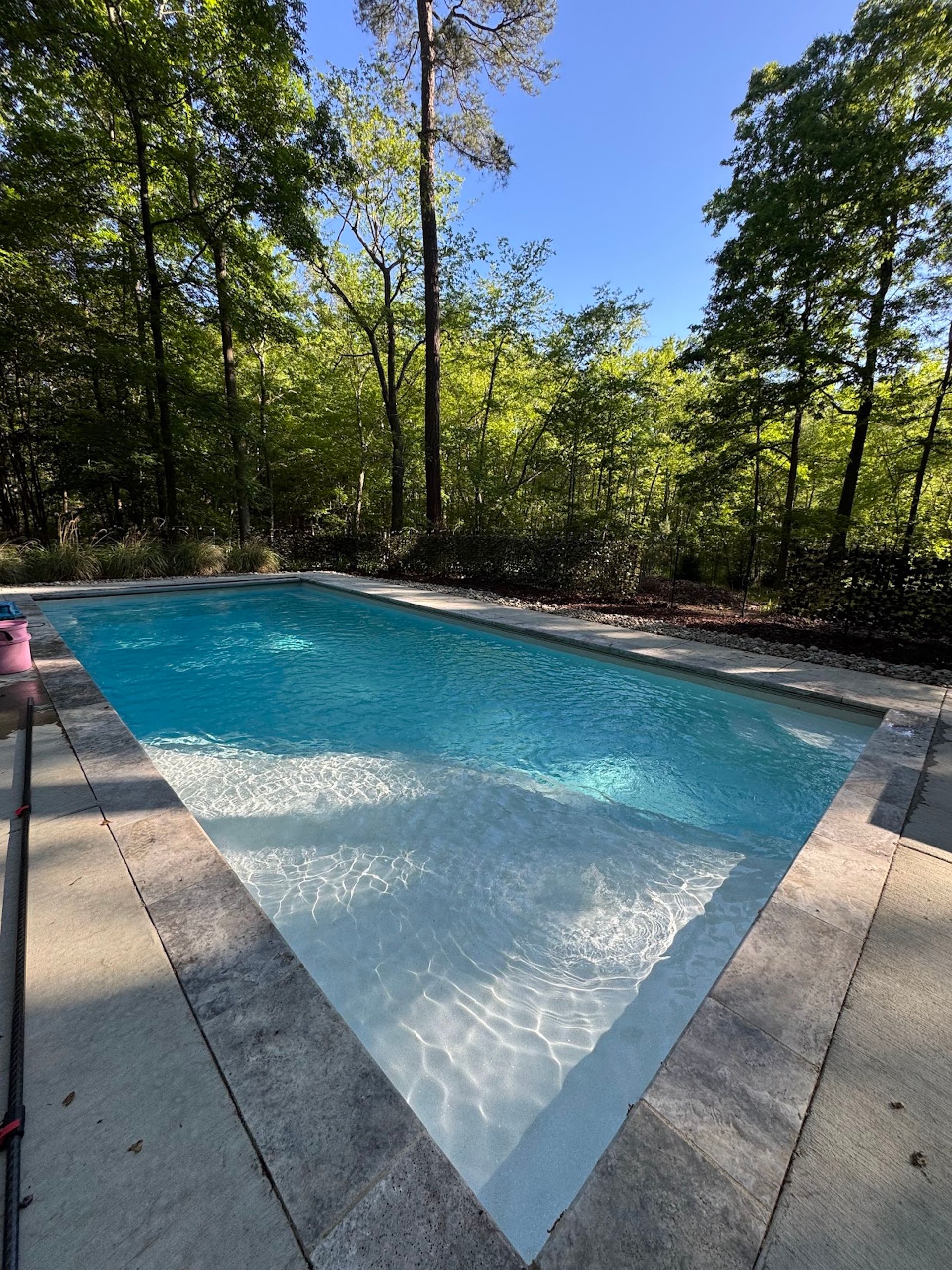 Backyard swimming pool surrounded by trees and concrete patio in bright sunlight