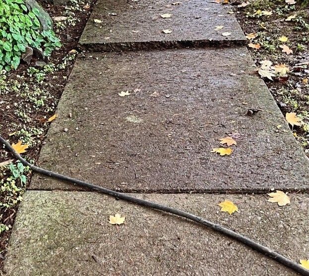 Concrete Picture 