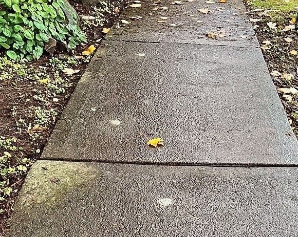 Concrete Walkway