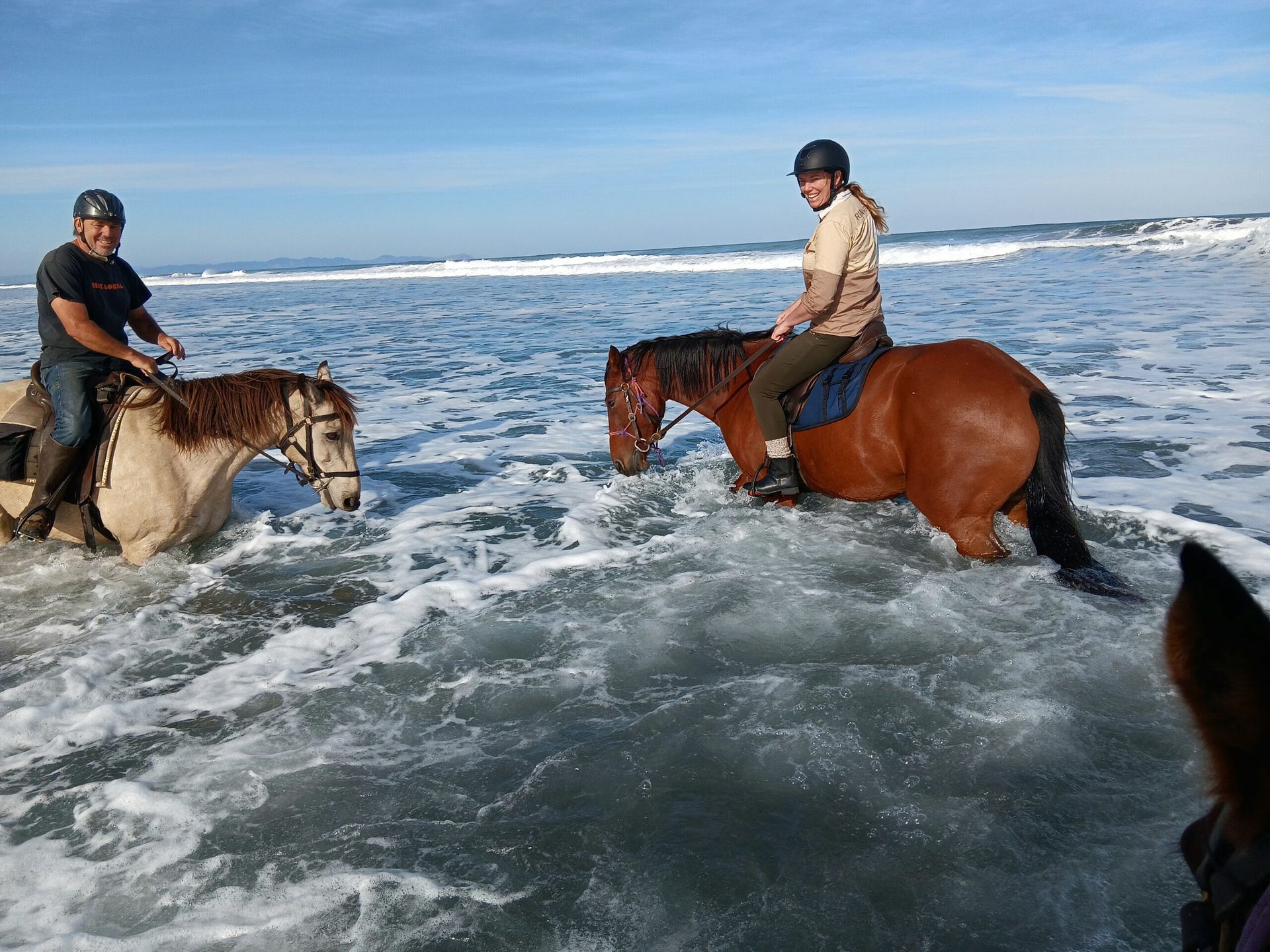 New Zealand North Island – Wild Coast Ride