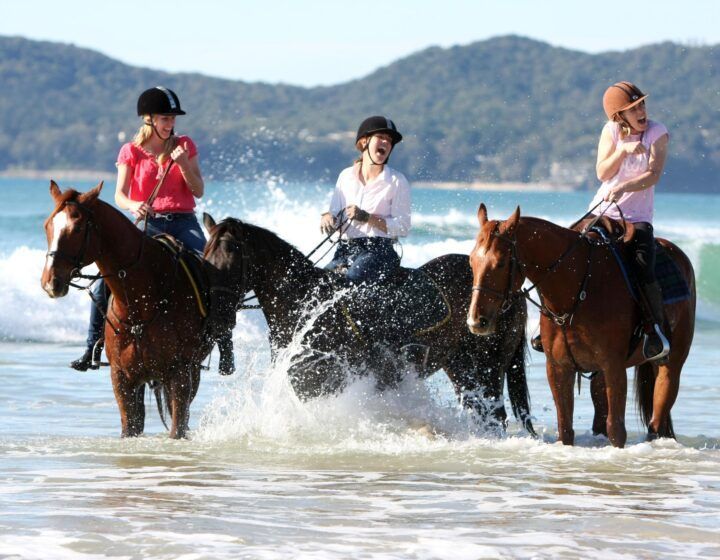 Three riders on horses splashing through shallow ocean water at the beach