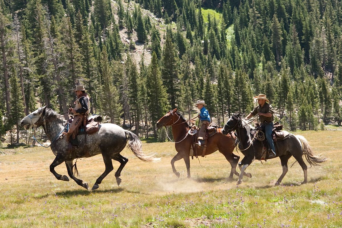 California’s Northern Yosemite Ride