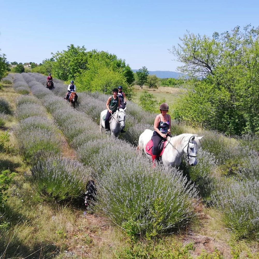 Croatia’s Dalmatian Hinterland Ride