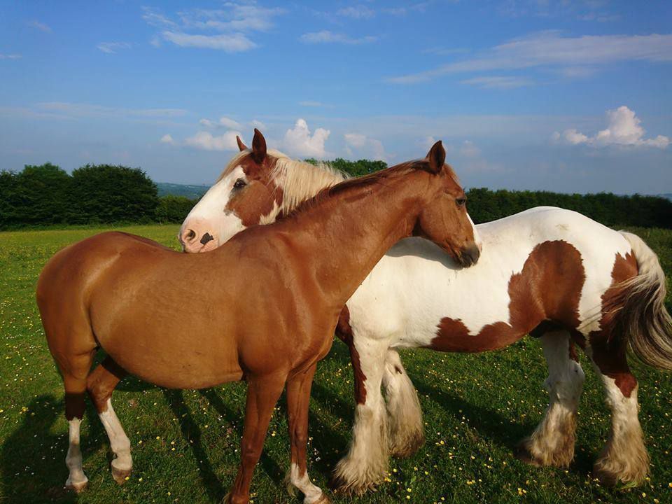 England’s Exmoor Ride