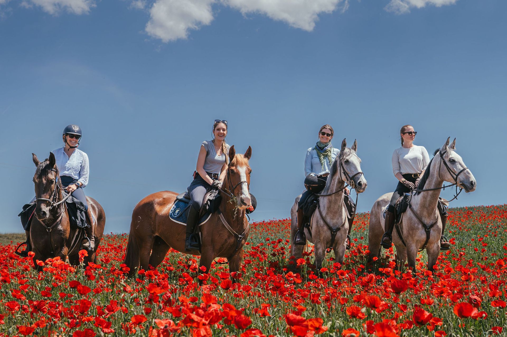 Spain’s Segovia – History at a Canter