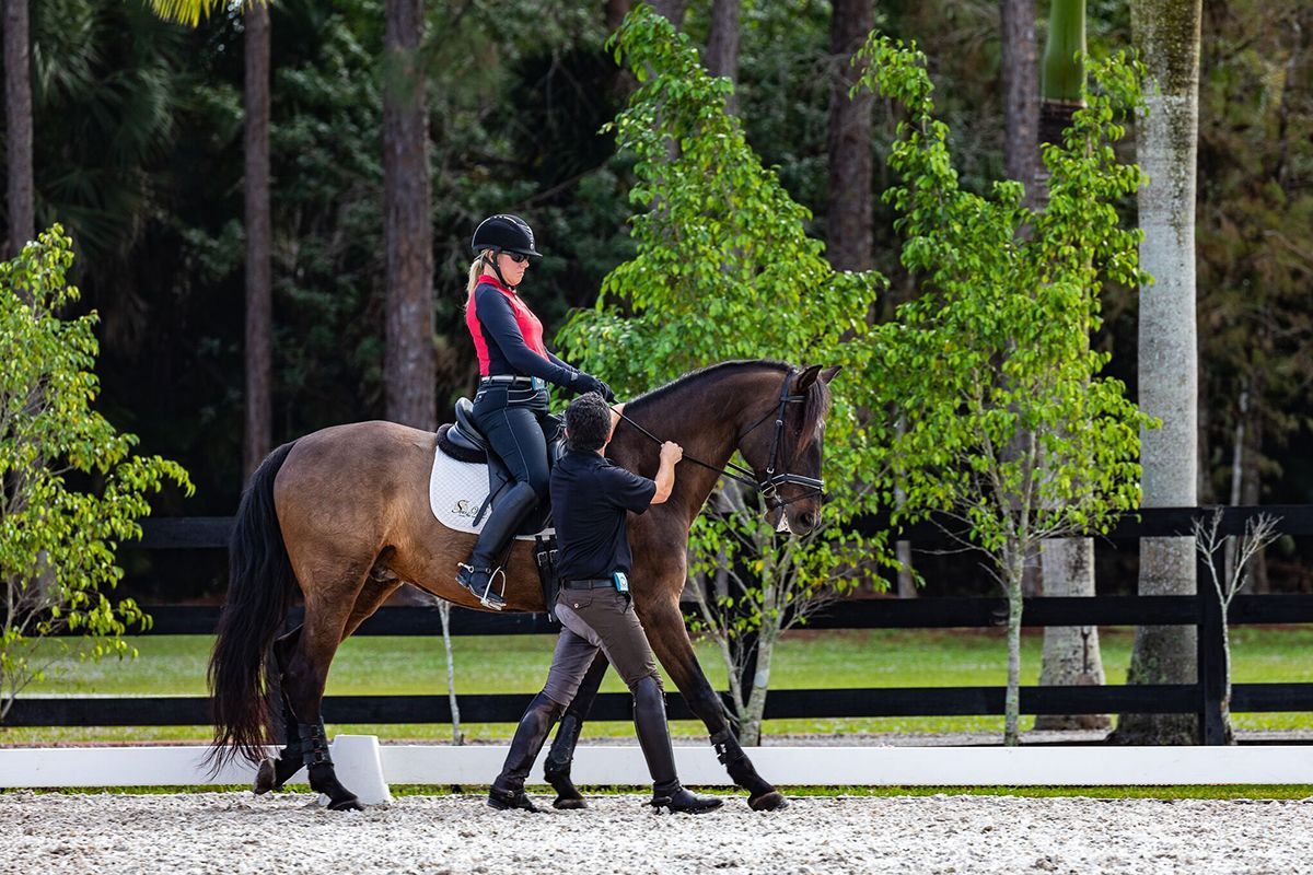 Florida’s Classical Dressage