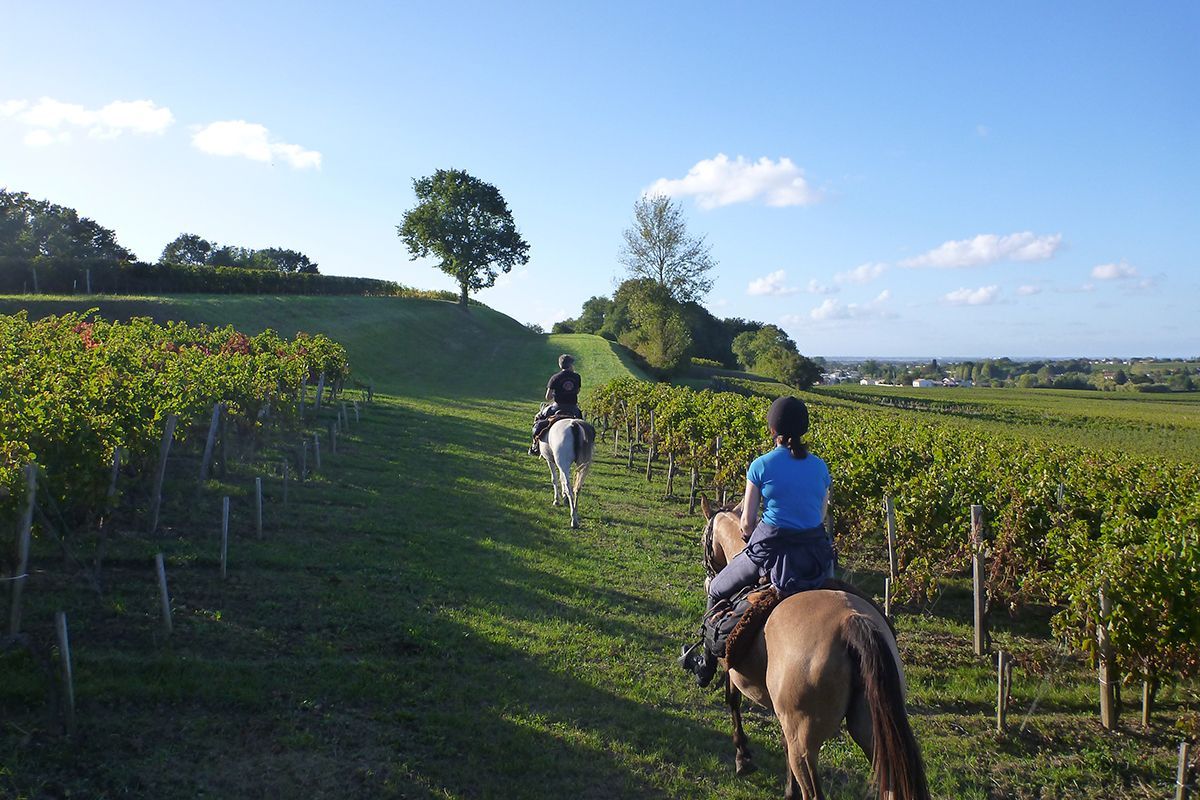 France’s Bordeaux Vineyards Ride