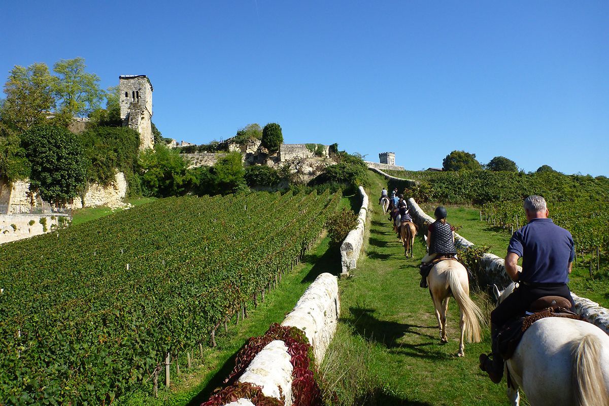 France’s Great Wines of Bordeaux Luxury Ride