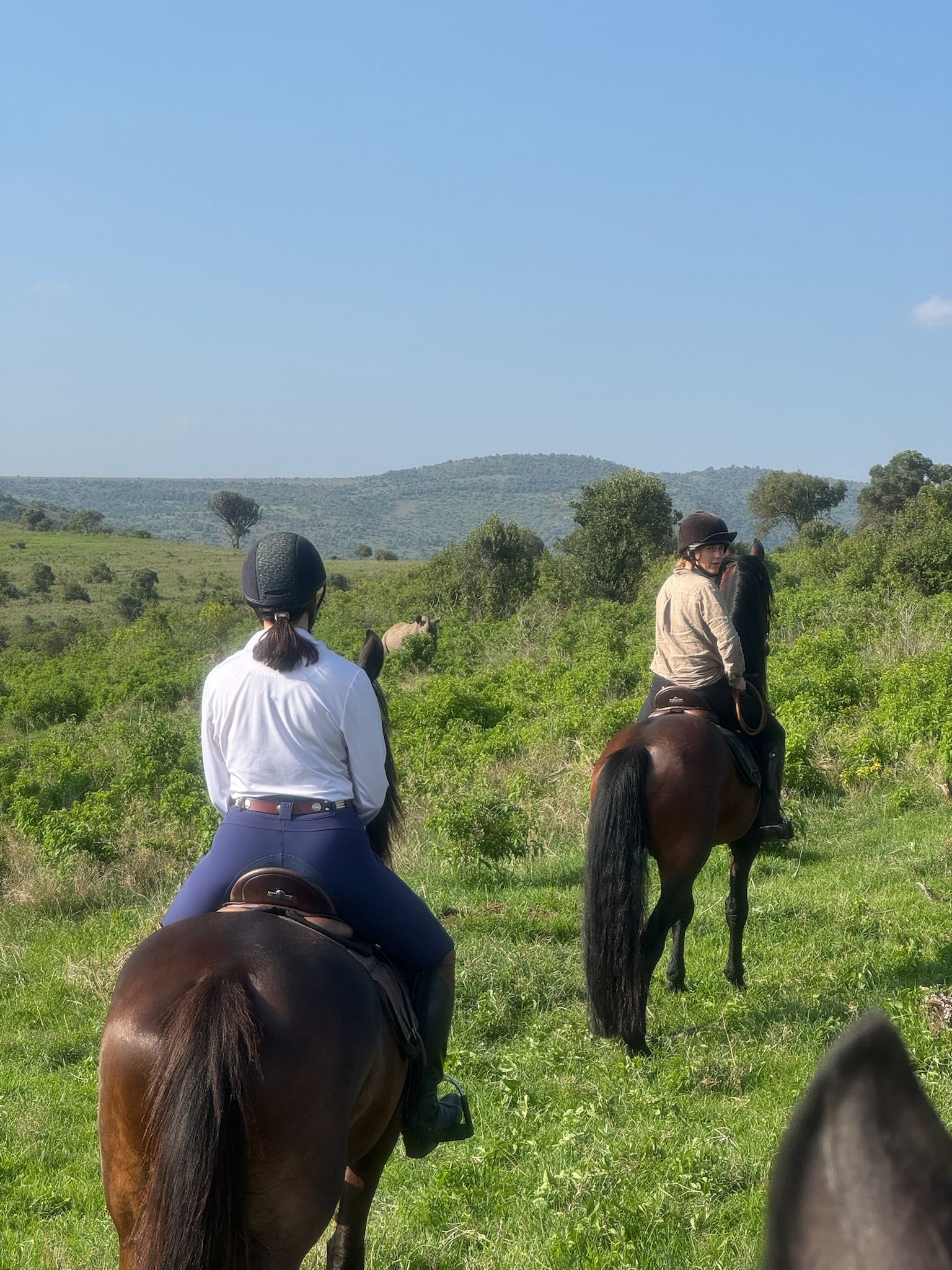 Kenya Luxury Retreat Safari