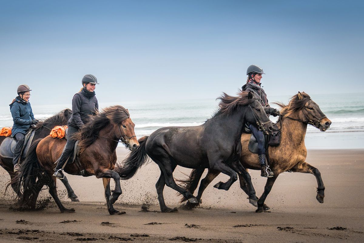 Iceland’s Best of Eldhestar Ride