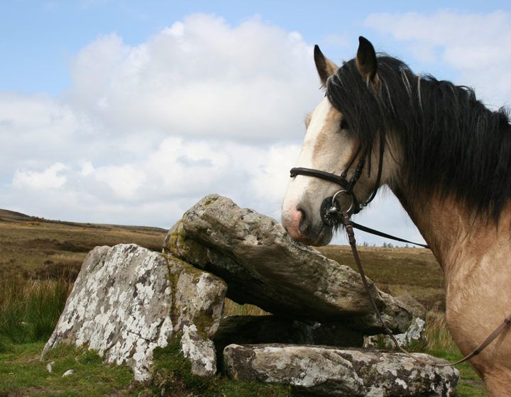 Ireland’s Galway Short Break Trail Ride