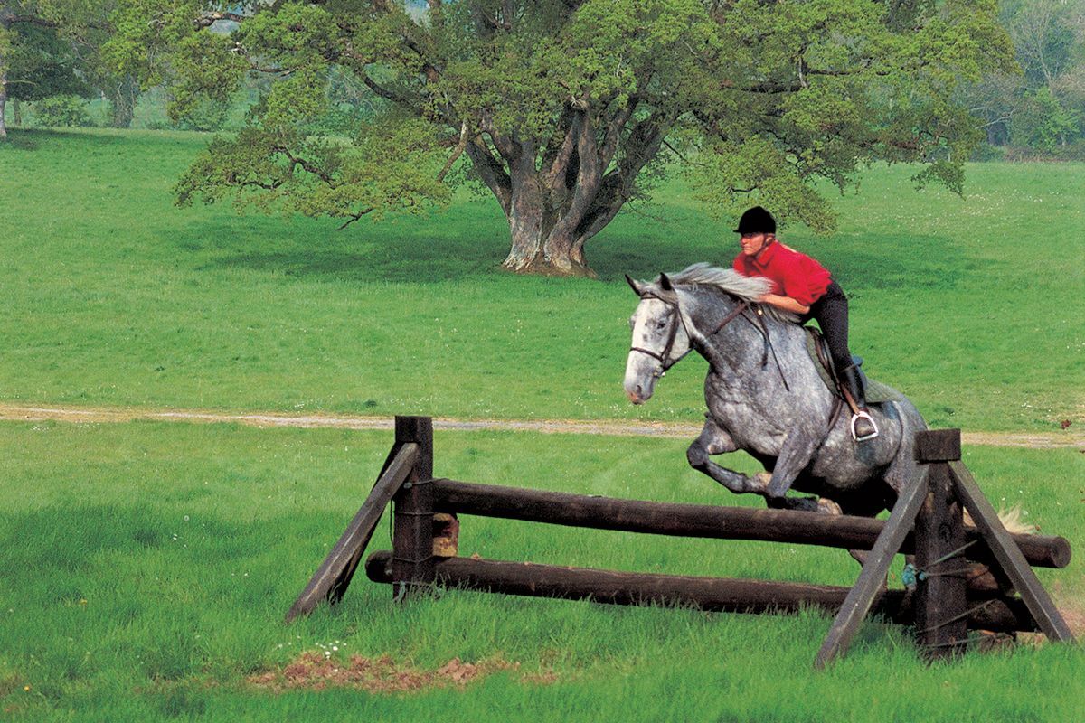 Ireland’s Training and Trail Ride