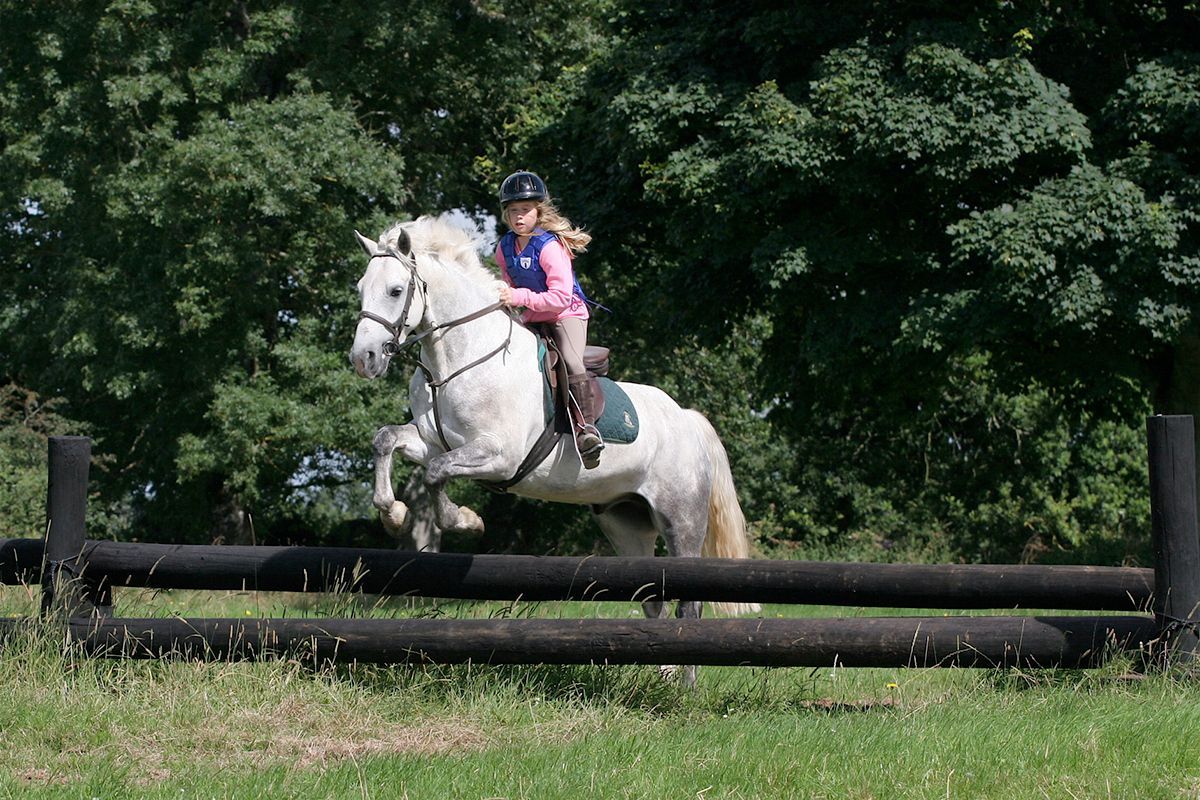 Ireland’s Youth Riding Camp
