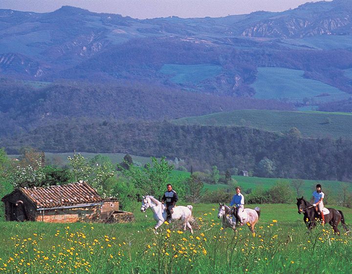 Three riders on horses crossing a green meadow with yellow flowers, mountains in the background.