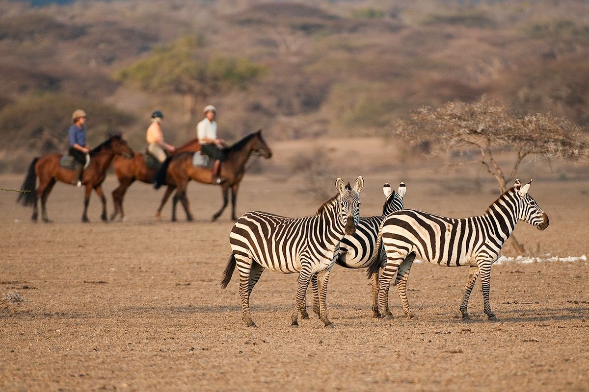 Kenya’s Nomad Safari Ride