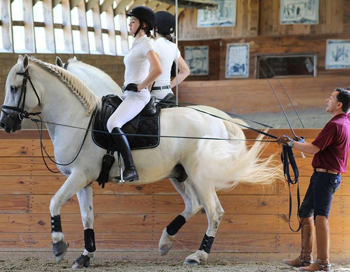 Massachusetts’s Classical Dressage