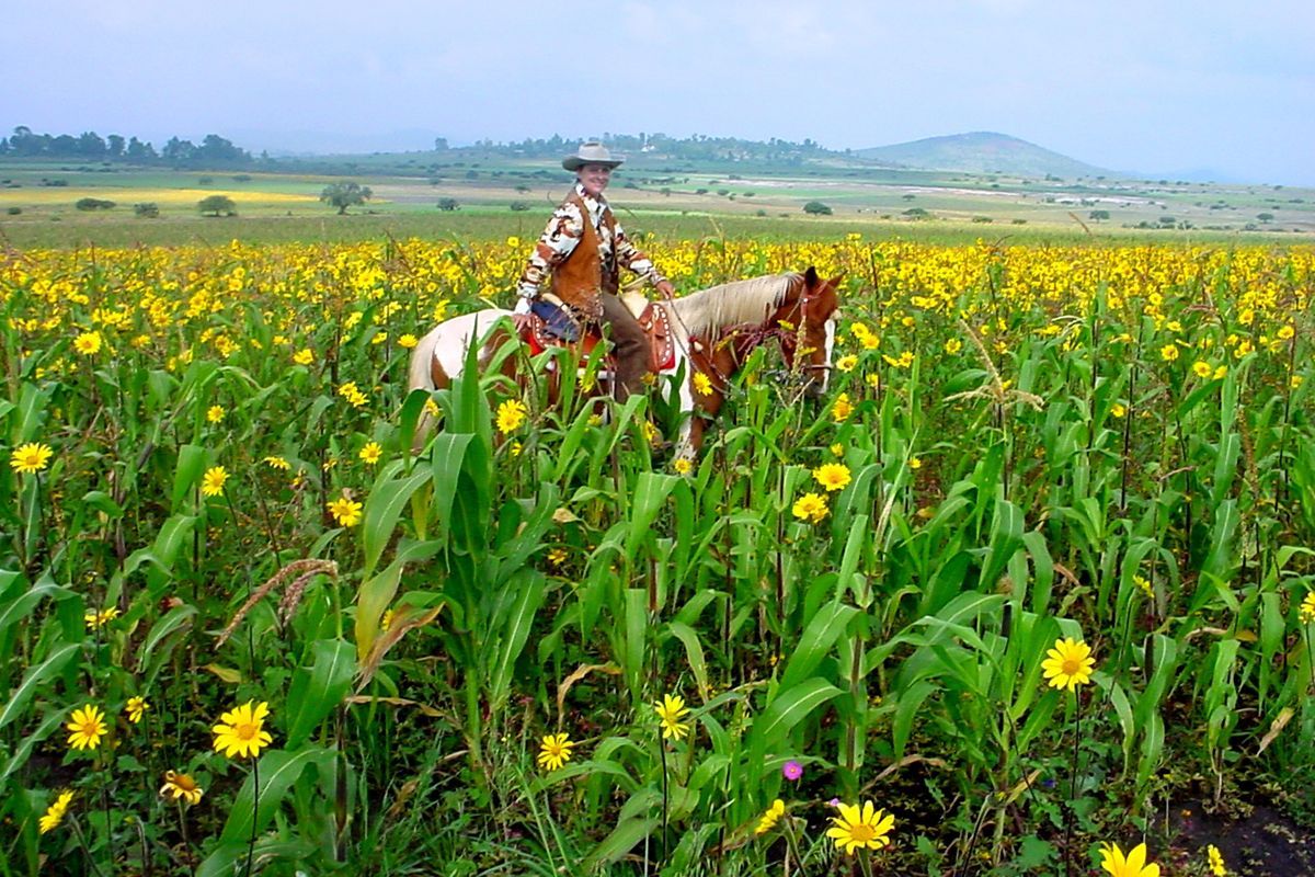Mexico’s Luxury Ranch Range Ride