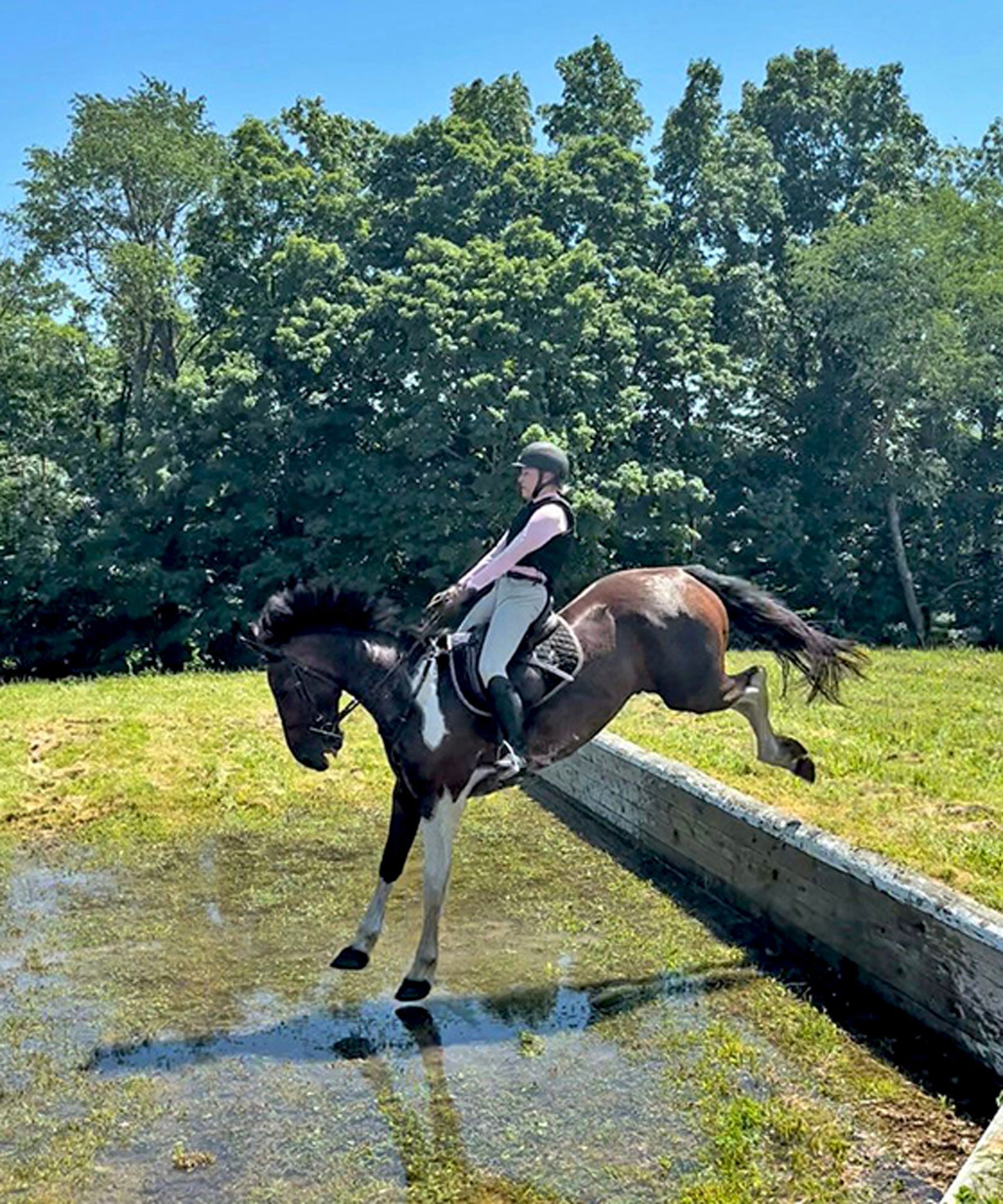 New York’s Training and Trail Riding in Hudson Valley