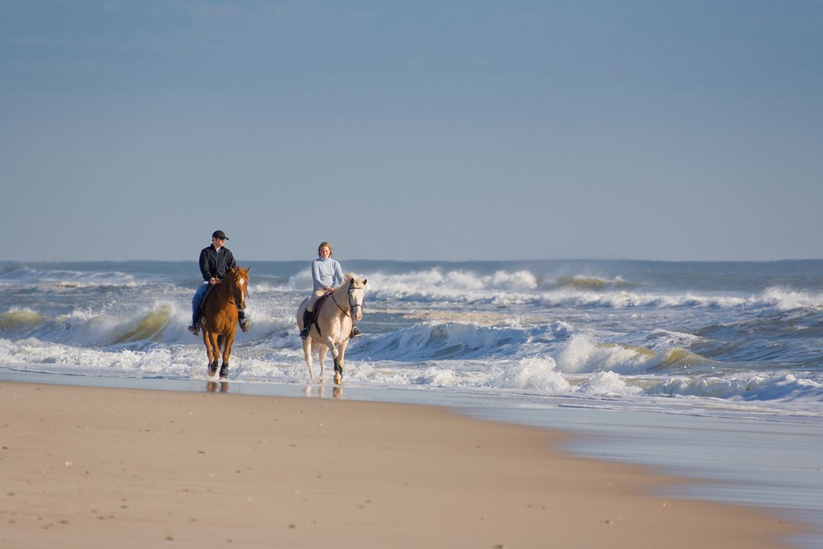 Oregon’s Coast and Vineyard Ride