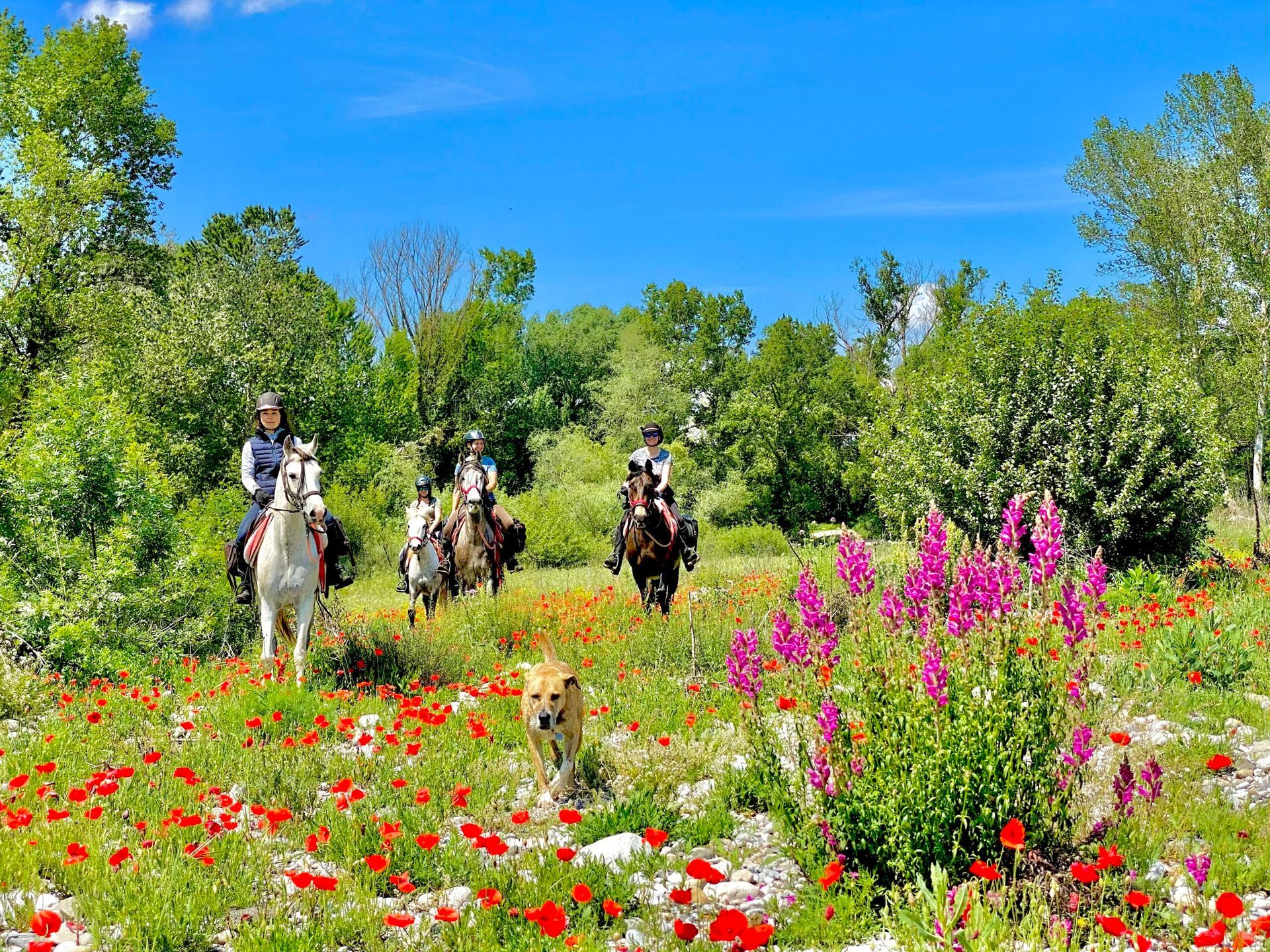 Spain’s Catalan Coast and Spanish Horses Ride
