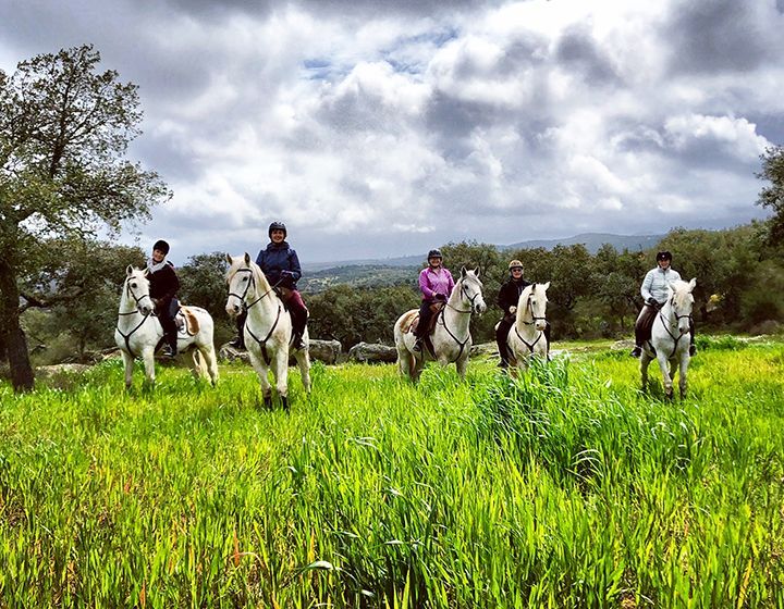 Portugal’s Classical Dressage Program