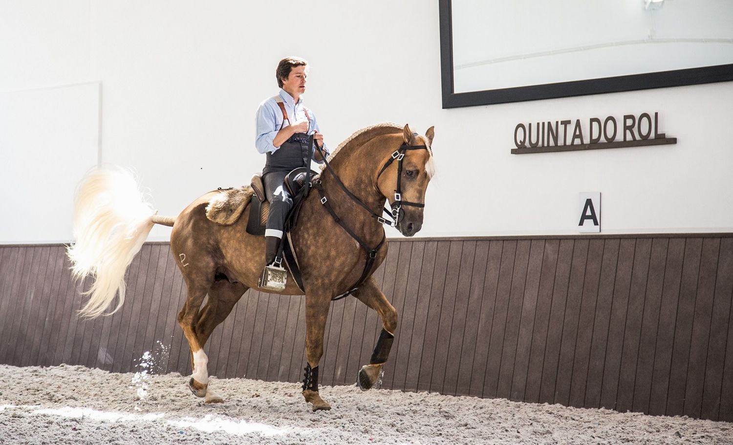 Portugal Relaxed Dressage Training and Trail