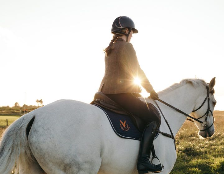 Person riding a white horse at sunset in an open field