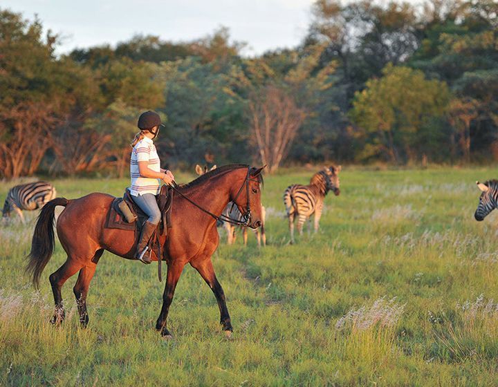 Combination South Africa and Botswana Ride