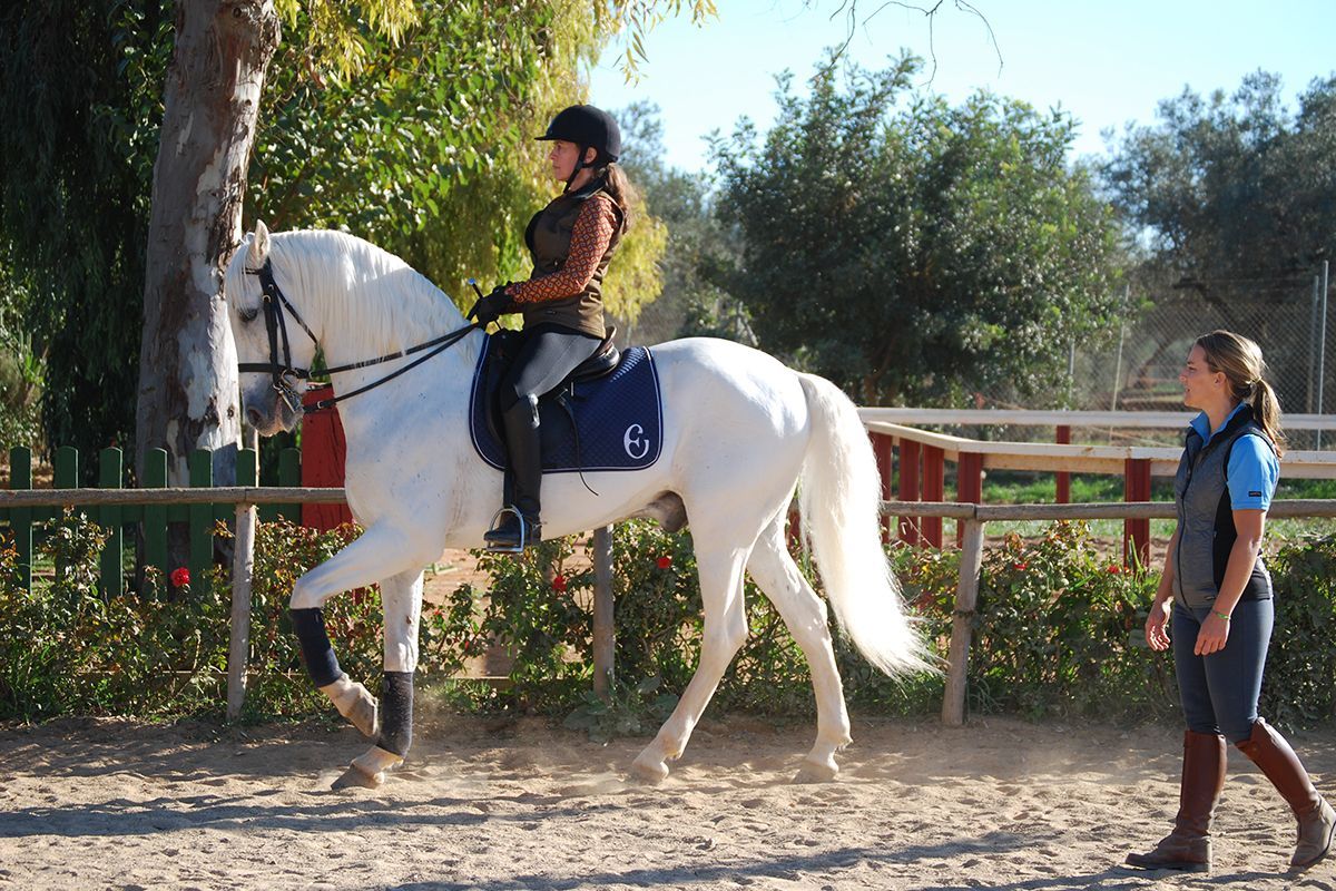 Spain’s Dressage Training and Trail Ride