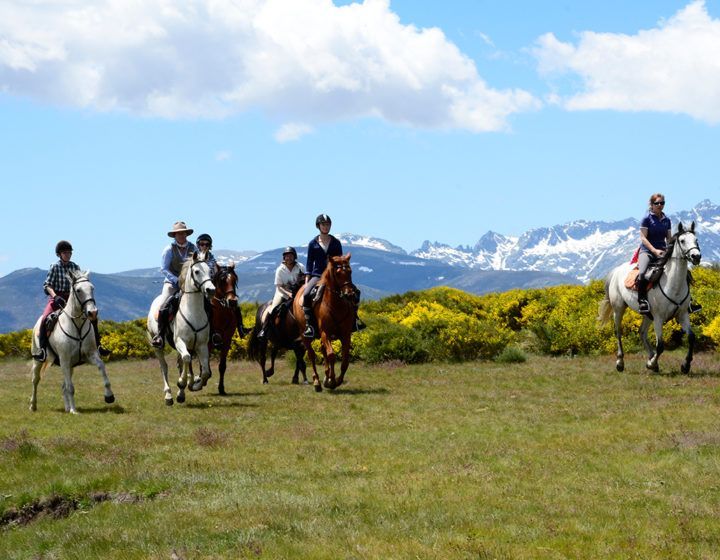 Five horseback riders on a grassy field with mountains and blue sky in the background