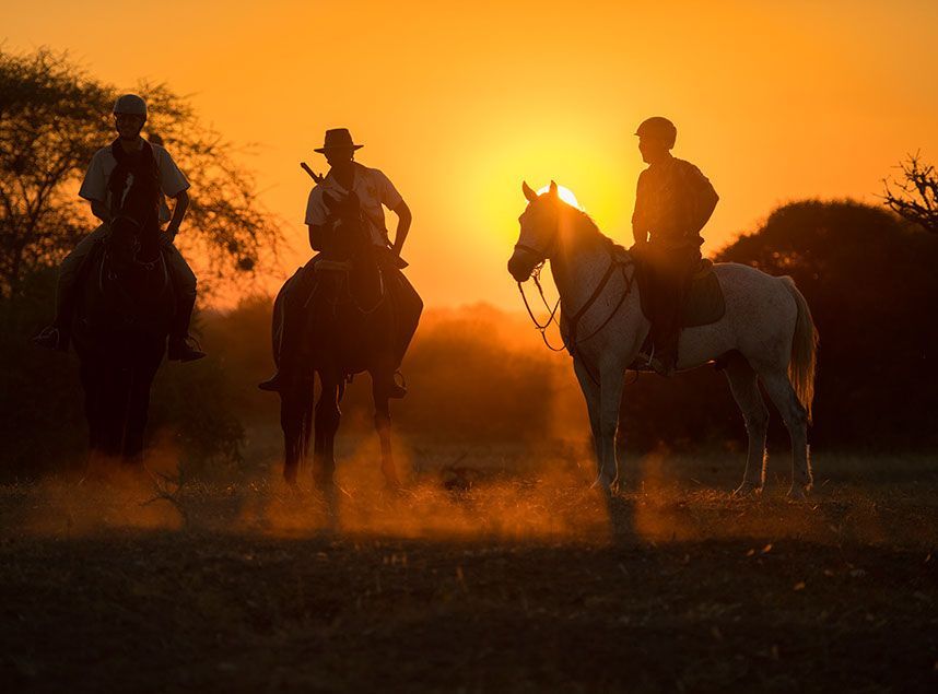 Botswana’s Safari Ride