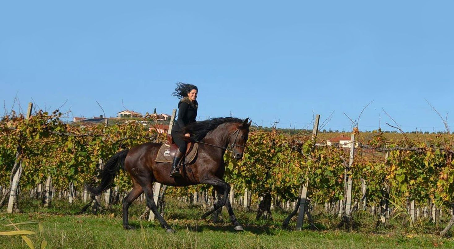 Slovenia’s Wine Trail Ride