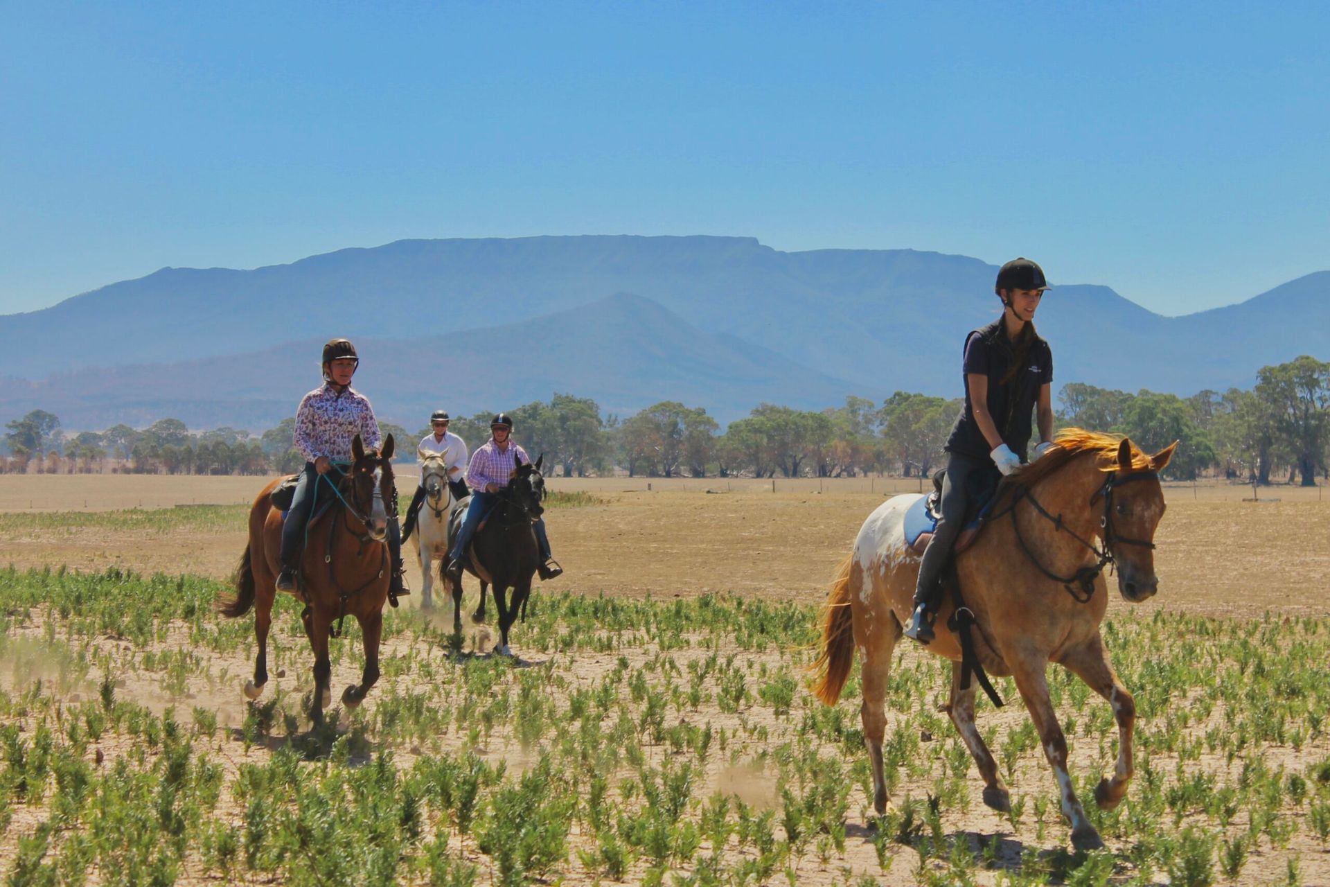 Australia’s Luxury Estate Ride