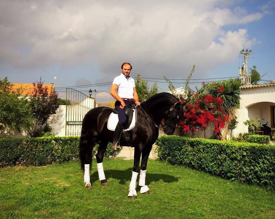 Portugal Working Equitation Program with Gilberto Filipe