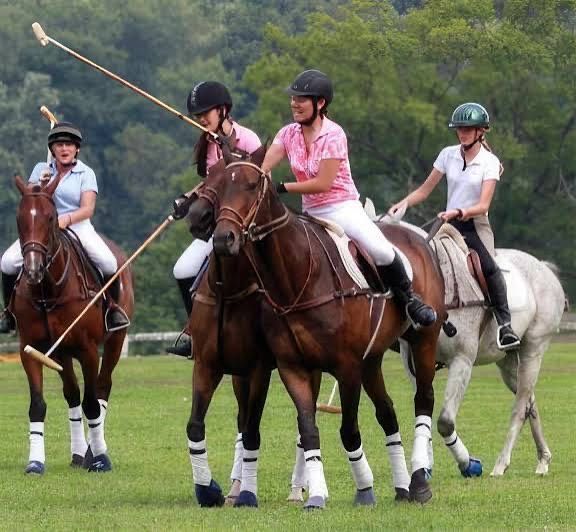 England’s Cotswolds Bridle Paths & Storybook Villages Ride