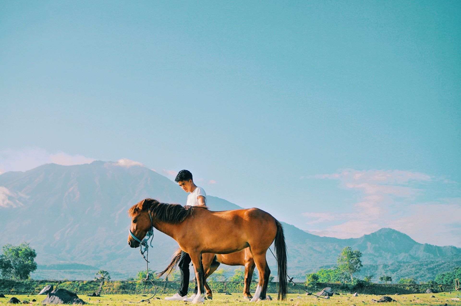 Person riding a brown horse in a grassy field with mountains in the background
