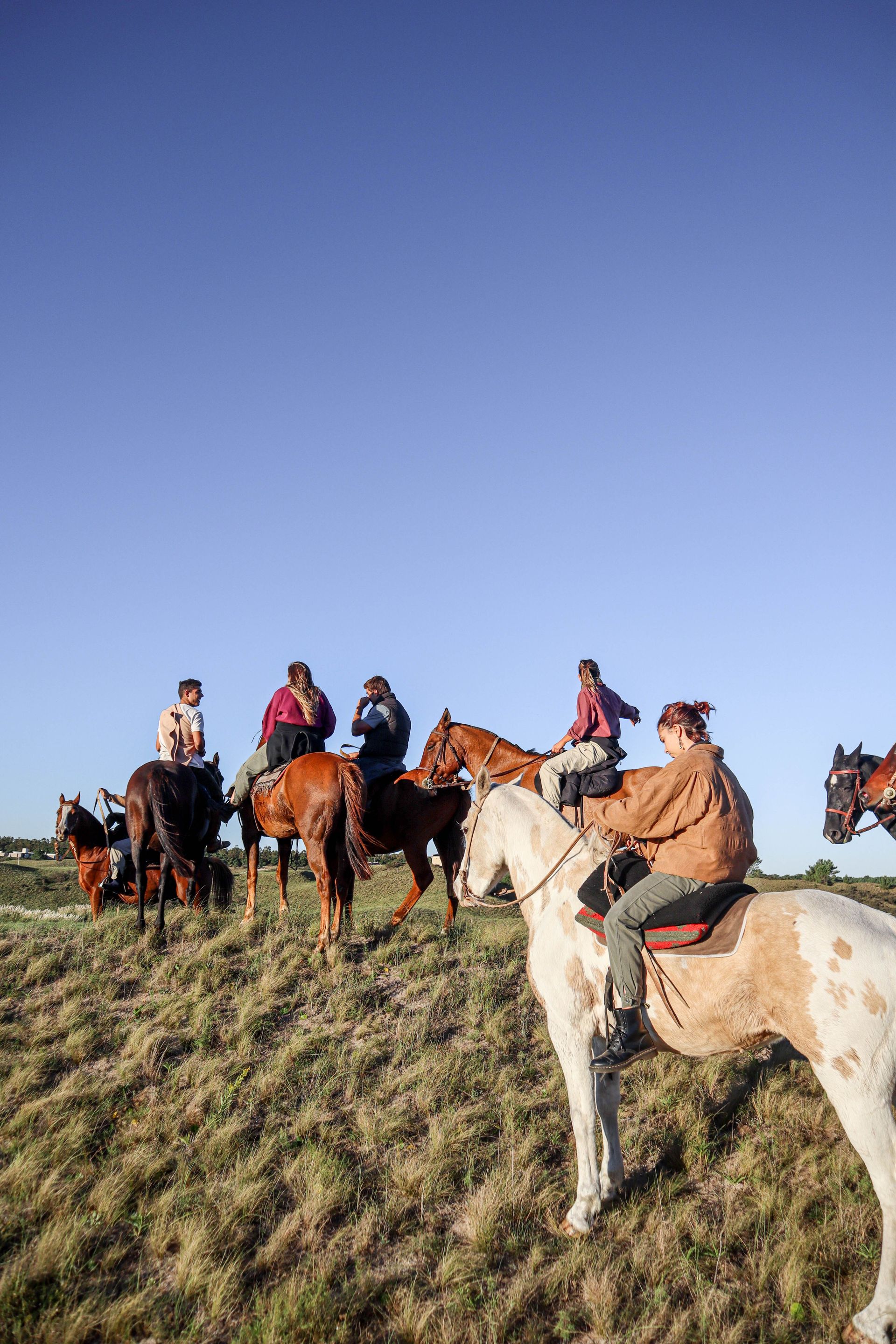 Group of horseback riders on a grassy hillside under a clear blue sky.