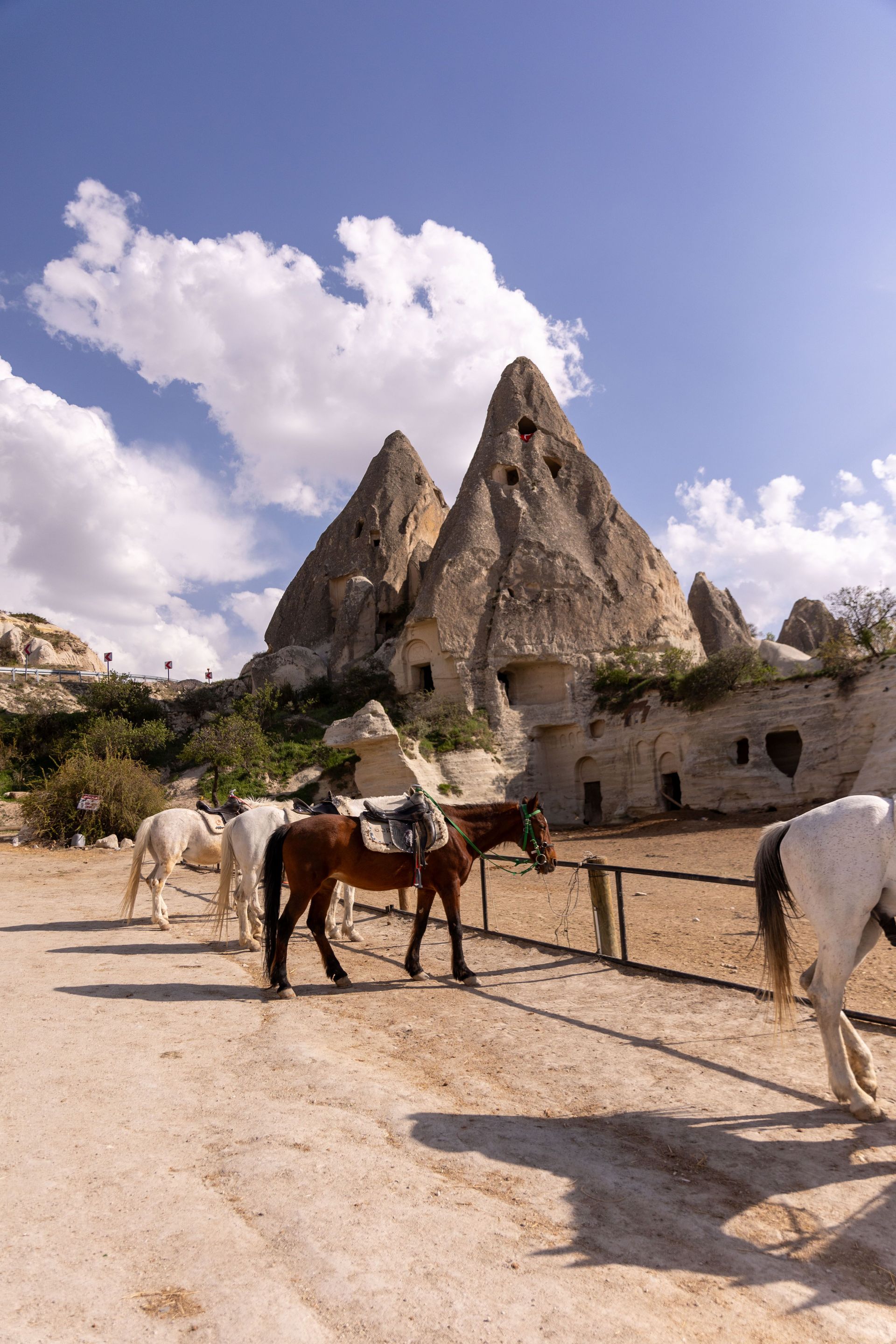 Horses and a donkey on a dirt road near pointed rock formations under a cloudy blue sky