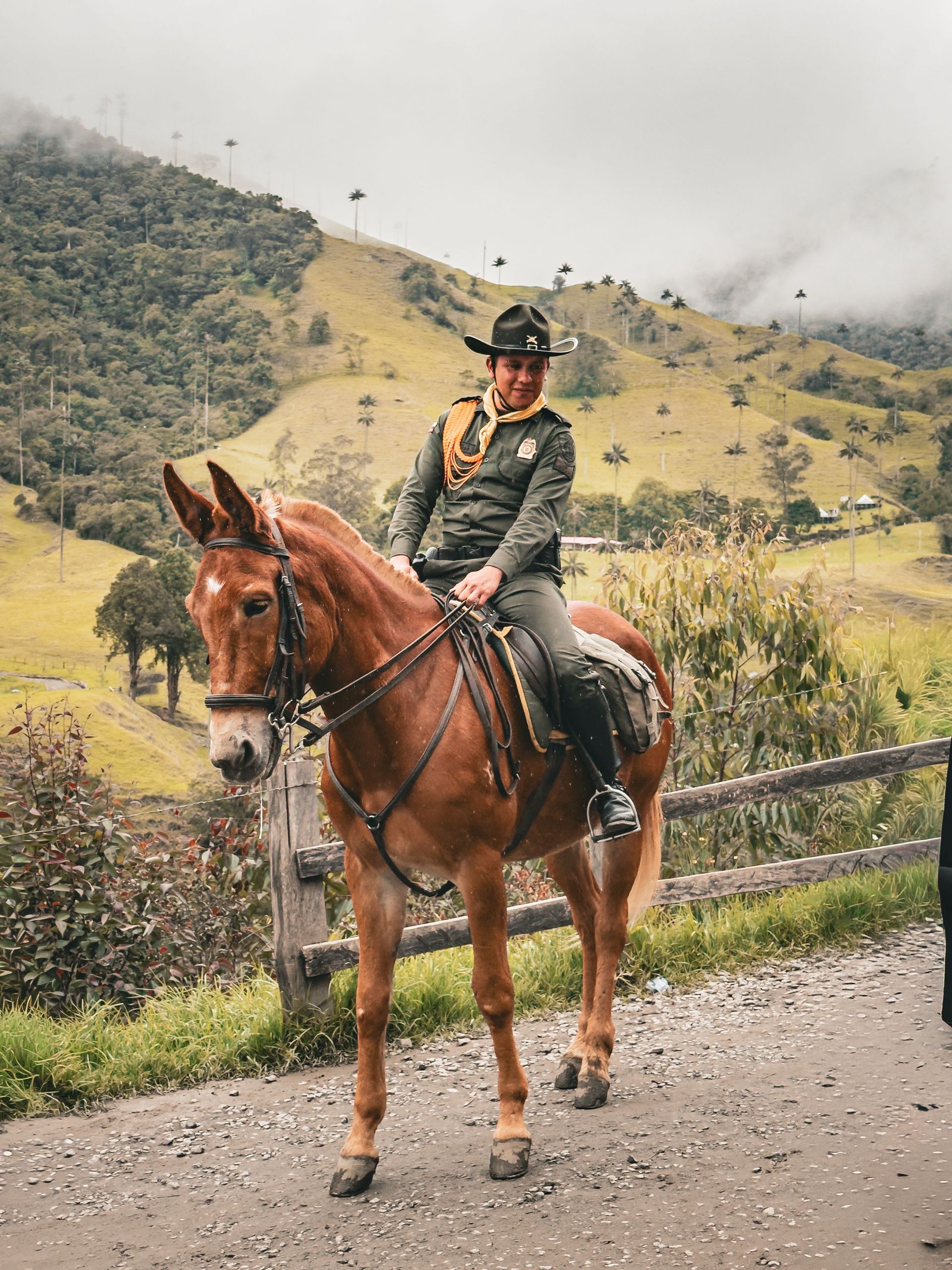 Rider on a brown horse on a mountain road, with green hills and misty slopes in the background