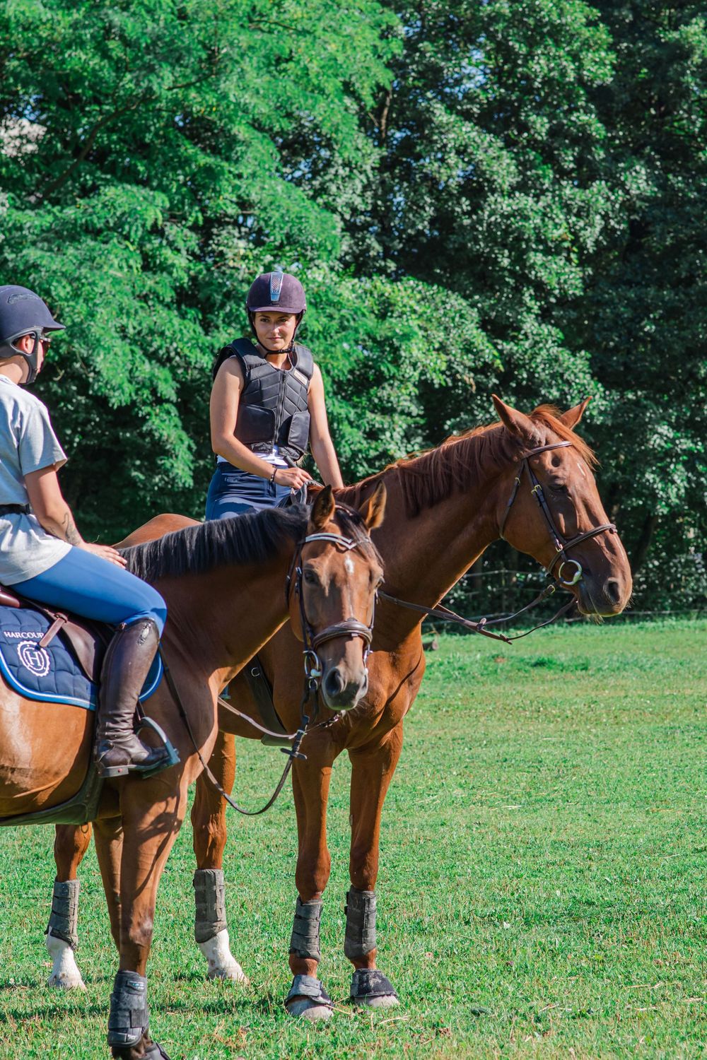 Two riders on brown horses in a grassy field with trees behind them
