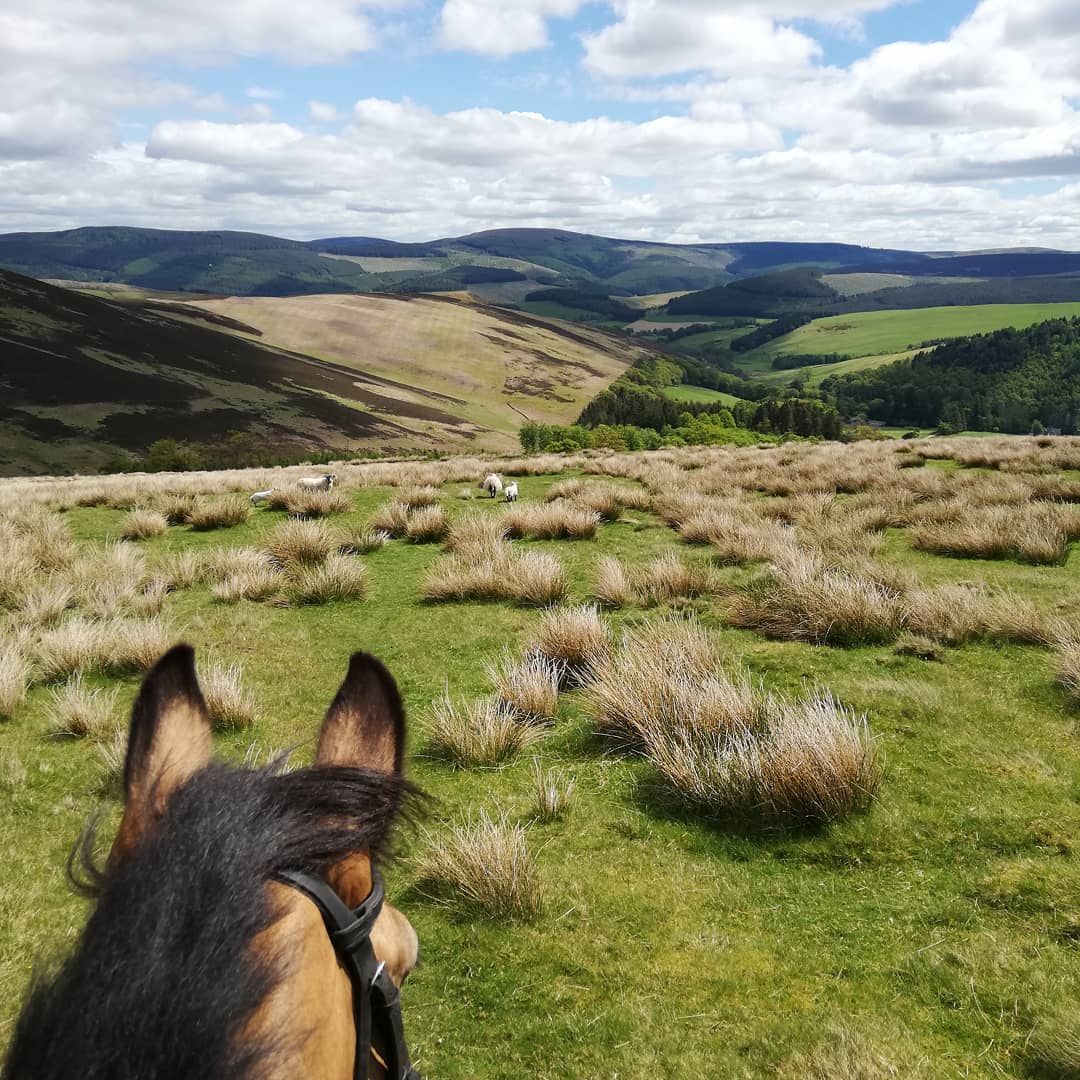Scottish Borders Countryside Ride