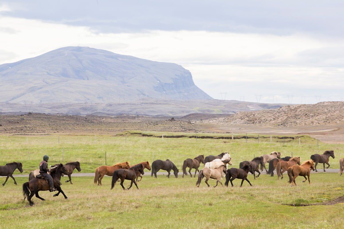 Iceland’s Sprengisandur Adventure Ride